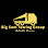 Alissa auto Inc logo